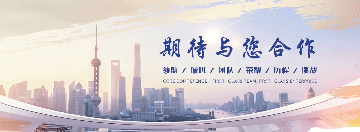 儋州主动边坡防护网